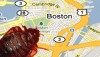 Boston Struggles With Bedbugs